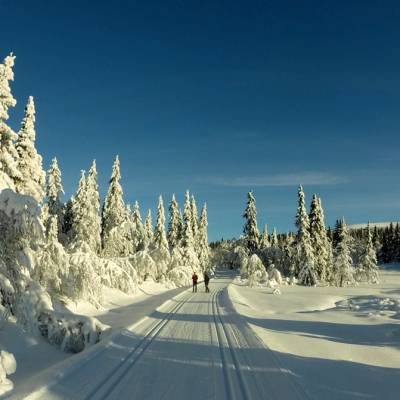 cross country skiing in Norway (1 of 1)-5.jpg
